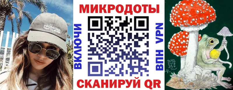 Псилоцибиновые грибы Psilocybe Дегтярск